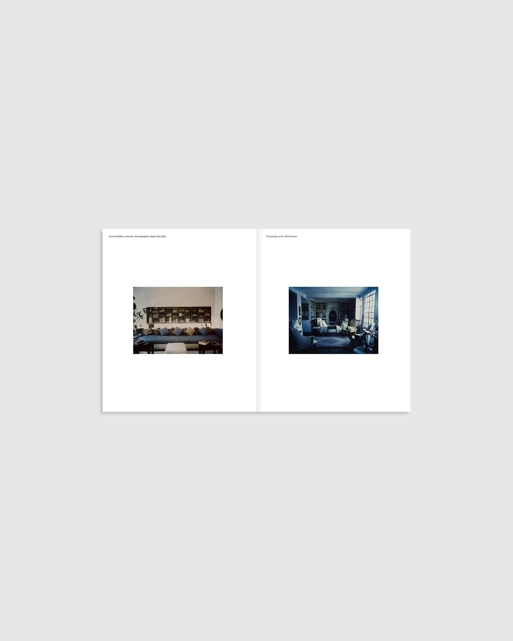 New York Living Rooms, Dominique Nabokov - Image 3