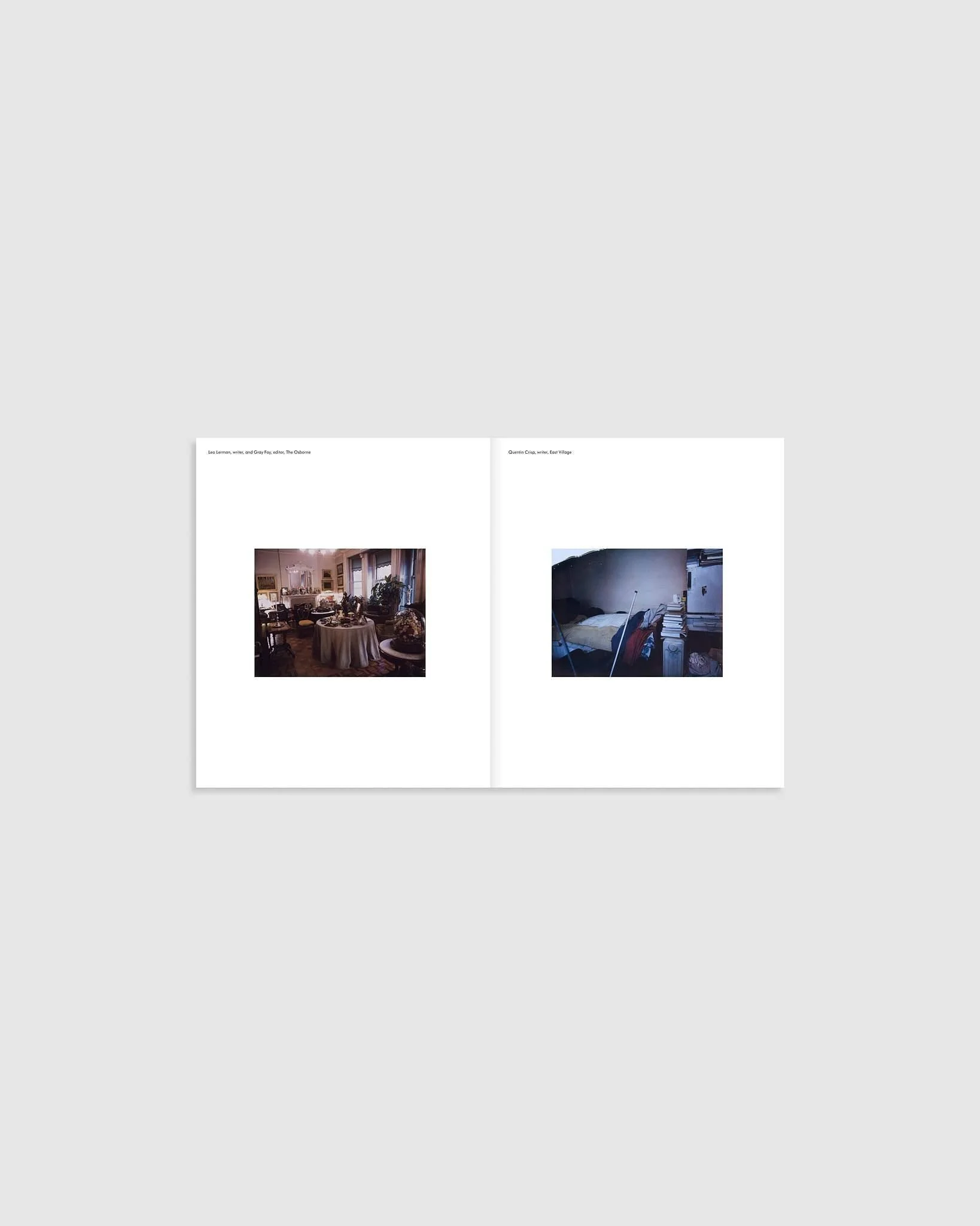 New York Living Rooms, Dominique Nabokov - Image 4