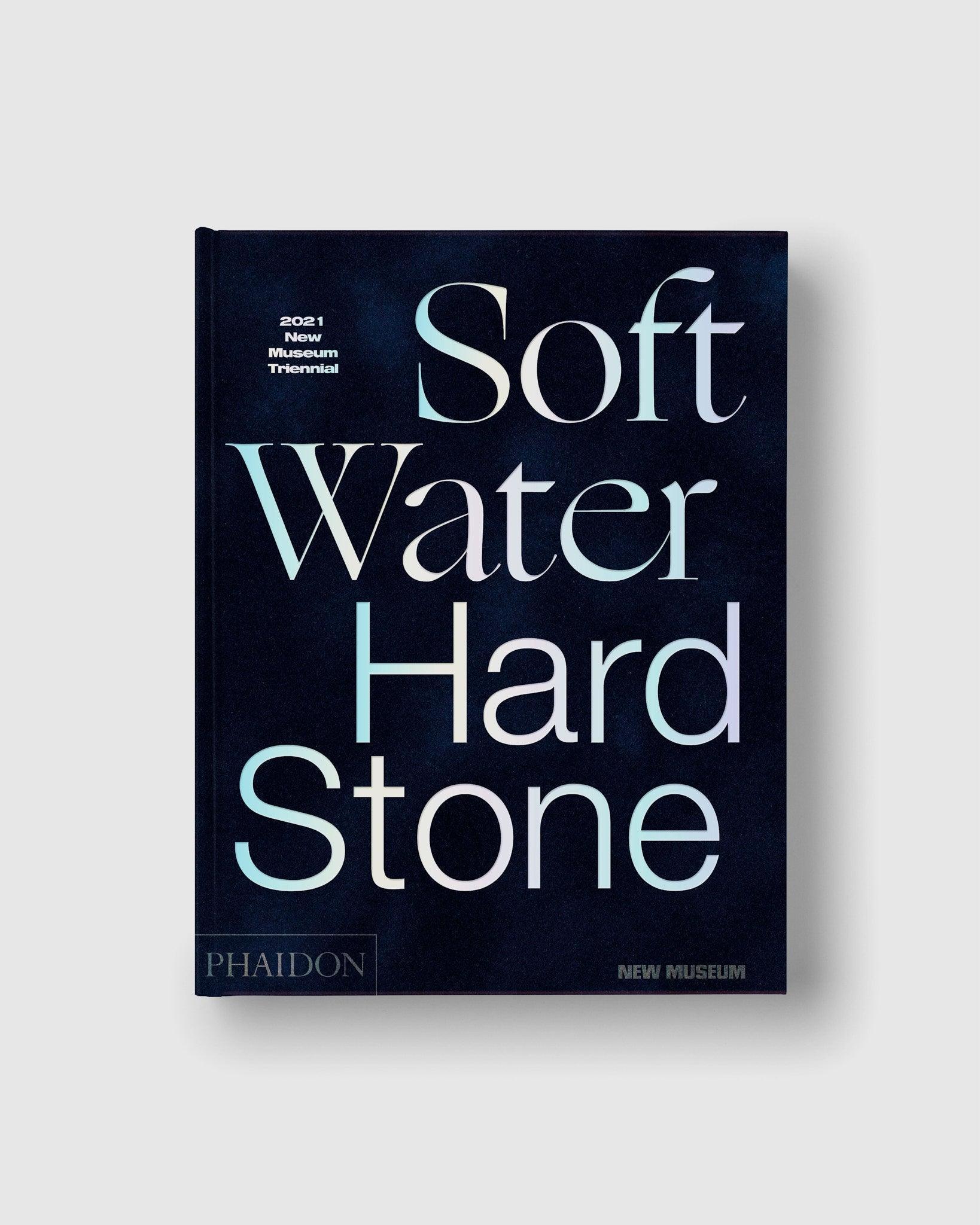 Soft Water Hard Stone: 2021 New Museum Triennial